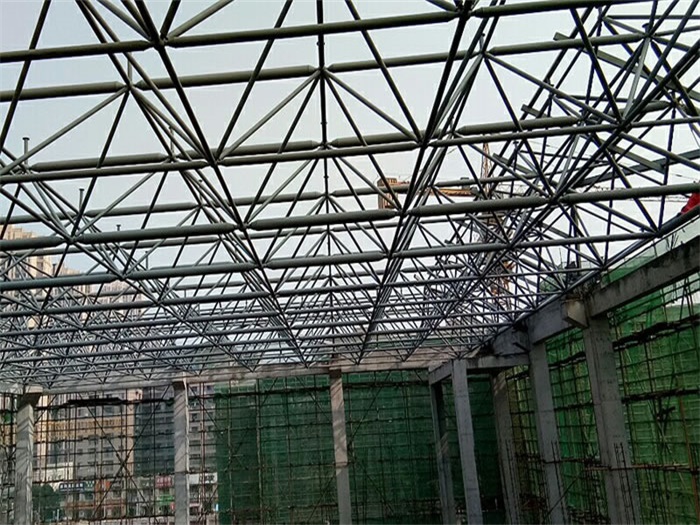 平湖光谷第十一小学网架